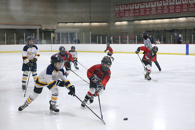Sälj toapapper med hockeylaget